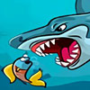 Fat Shark Fat Shark